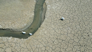 2025 en passe d'&ecirc;tre une des trois ann&eacute;es les plus chaudes