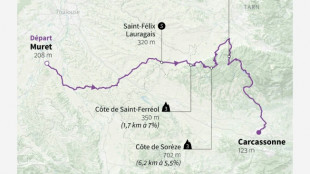 La 15e étape du Tour de France: place aux baroudeurs