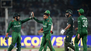 Bangladesh batsmen to blame for World Cup flop, says Mehidy