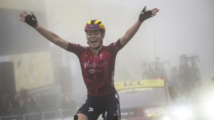 Tour de France Femmes: Vollering &agrave; son sommet sur le Tourmalet