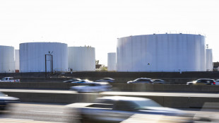 Il gas decolla ad Amsterdam, +10,45% in avvio di seduta