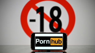 La UE impone normas m&aacute;s estrictas a tres grandes plataformas pornogr&aacute;ficas