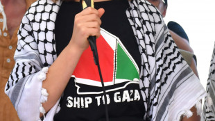 Israele, 'Greta Thunberg sta lasciando il Paese'