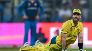 Cricket World Cup: Top 20 quotes