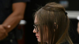 Hochstaplerin Sorokin weiterhin in den USA im Beh&ouml;rdengewahrsam