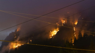 Incendios forestales en Canadá arrasaron en 2025 un área del tamaño de Croacia