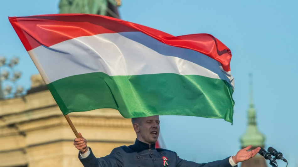 Peter Magyar, du s&eacute;rail au r&ocirc;le d'opposant de Viktor Orban 