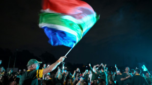 Ecstatic South Africans celebrate Rugby World Cup glory