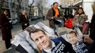 Pr&eacute;sidentielle: les candidats &eacute;cologiste et socialiste manifestent pour l'Ukraine