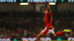 Wales veteran Halfpenny retires from Test rugby with 'heavy heart'