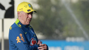 Ancelotti, "mi chiamano già Carlinho e mi piace"