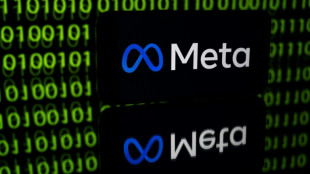 Donn&eacute;es personnelles: Meta &eacute;cope d'une amende record en Europe d'1,2 milliard d'euros