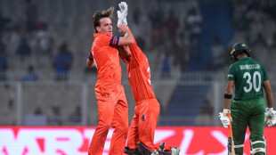 Netherlands demand 'bigger nation' status after new World Cup shock
