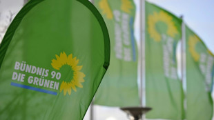 Gr&uuml;nen-Chefin: Verkehrswende ist zentral f&uuml;r Erreichen der Klimaziele