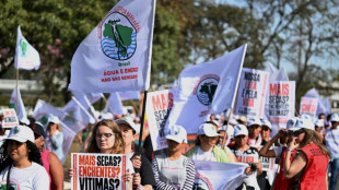 Exministros brasileños piden frenar la polémica ley de flexibilización ambiental