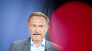 Lindner will weniger L&auml;nderaufgaben finanzieren