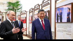 Cremlino, incontro tra Putin e Xi Jinping il 31 agosto a Bishkek