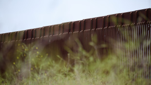 Esercito Usa, primi arresti di migranti a confine Messico