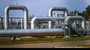 Il prezzo del gas chiude in calo a 35,05 euro