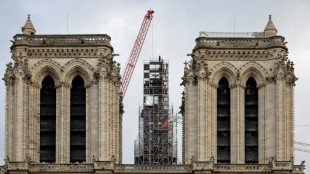 A un an de la r&eacute;ouverture, Macron tout en haut de la fl&egrave;che de Notre-Dame de Paris