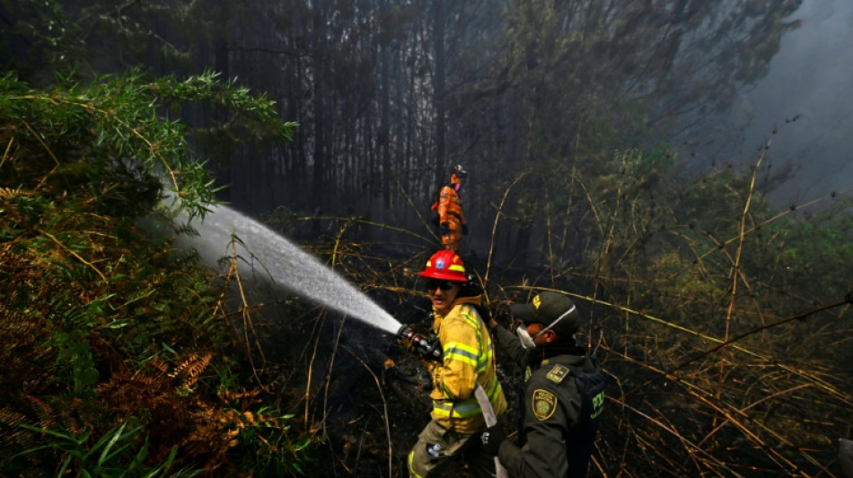 Colombia en alerta por veintena de incendios forestales en medio de r&eacute;cord de calor