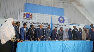 Somalia avanza hacia elecciones presidenciales con designaci&oacute;n de jefes parlamentarios