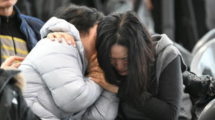 La Cor&eacute;e du Sud lance l'inspection de tous ses Boeing 737-800 apr&egrave;s le pire crash sur son sol