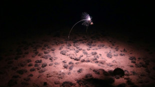 Mineral-rich nodules and the battle over mining the deep sea