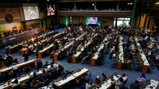 Fight over fossil fuels nixes key text of UN environment report