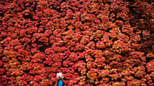 Welfare, all'università arriva un dottorato per quello di genere