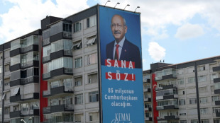 T&uuml;rkische Wahllokale in Deutschland ge&ouml;ffnet
