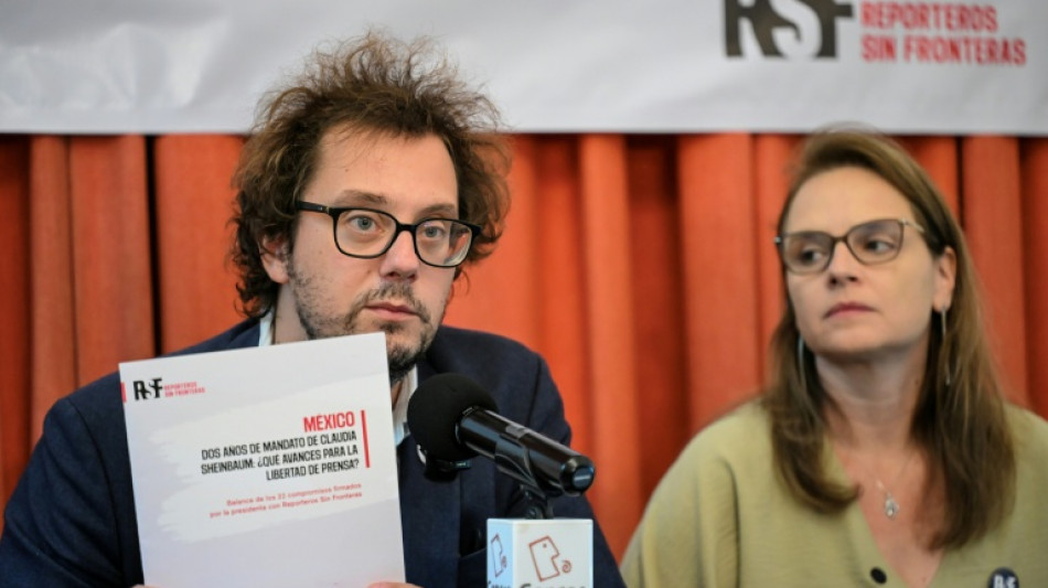Le Mexique est l'un des "grands drames du journalisme", d&eacute;clare le chef de RSF