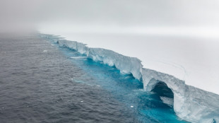 O&ugrave; le plus grand iceberg du monde finira-t-il sa course?