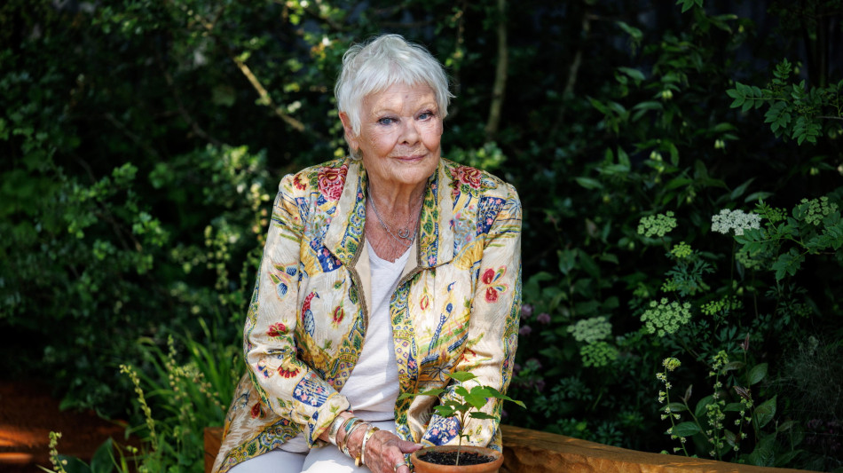 Judi Dench, a causa della macula è praticamente cieca
