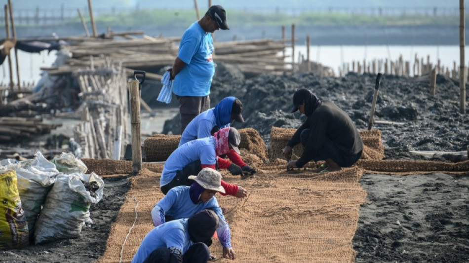 Philippine island fights rising seas with nature, not concrete