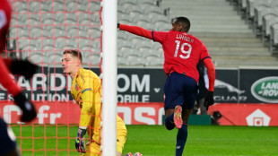 Ligue 1: Lille ma&icirc;trise, Strasbourg quatri&egrave;me