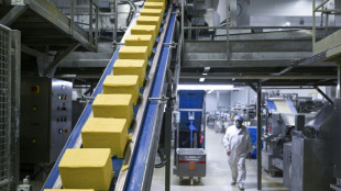 Anstieg der Erzeugerpreise f&uuml;r gewerbliche Produkte nur noch bei rund vier Prozent