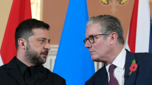 Ukraine president to meet European allies after Trump criticism
