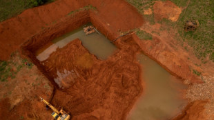 Au Br&eacute;sil, l'orpaillage ill&eacute;gal &eacute;tend son emprise chez les Yanomami 