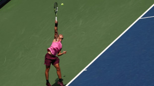 Alcaraz romps into US Open fourth round, injured Shelton exits