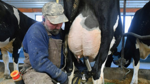 Milchwirtschaft: Genossenschaften DMK und Arla kündigen Fusion an