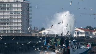 Golfe de Gascogne: la fili&egrave;re p&ecirc;che d&eacute;plore des "pertes folles"
