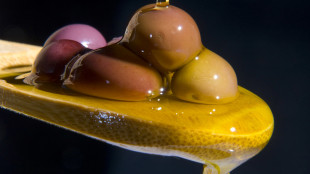 Mediobanca, sull'olio di oliva Italia in carenza produttiva e disavanzo commerciale