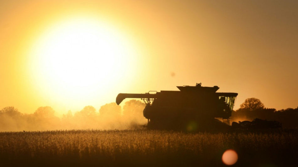 Landwirtschaftsmesse Gr&uuml;ne Woche startet in Berlin