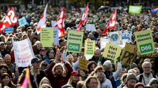 Pays-Bas: des dizaines de milliers de manifestants pour le climat avant les &eacute;lections l&eacute;gislatives