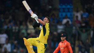 'I live for World Cups': Warner peaking at right time