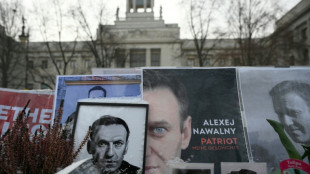 La toxina que mat&oacute; a Navalni probablemente era sint&eacute;tica, dicen expertos en anfibios