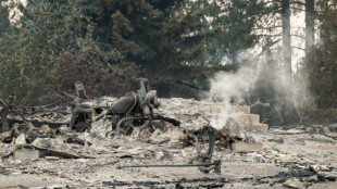 Waldbr&auml;nde im Nordwesten der USA: Festnahme wegen mutma&szlig;licher Brandstiftung