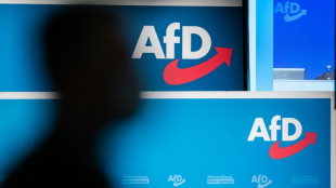 AfD-Kandidat in Stichwahl um Landratsposten in Th&uuml;ringen