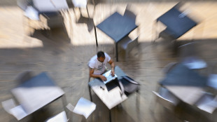 Quest'anno tornano a crescere i lavoratori in smart working